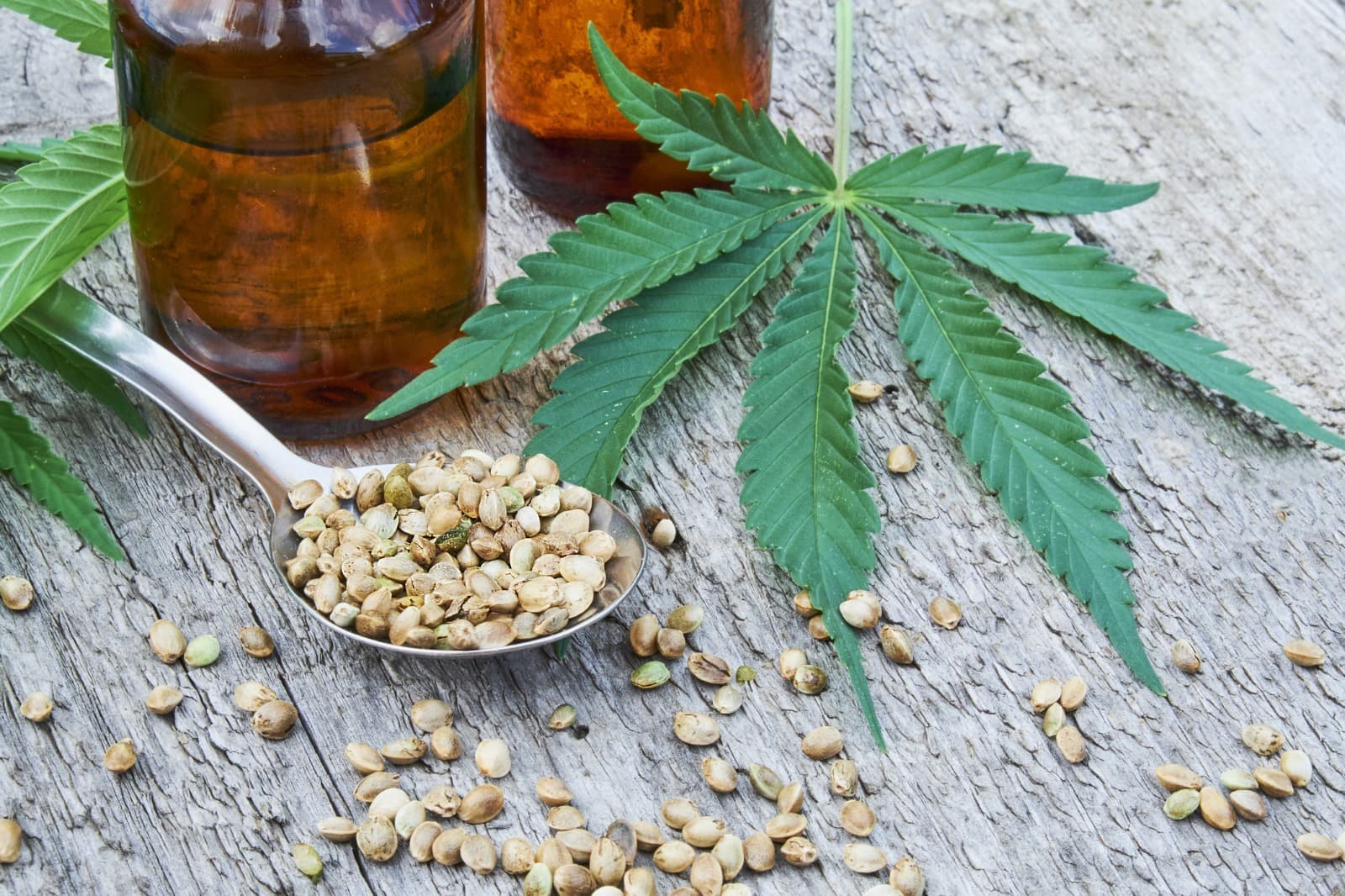 Enjoy Legal Marijuana Madrid Spaces with Clubs Cannabis Madrid
