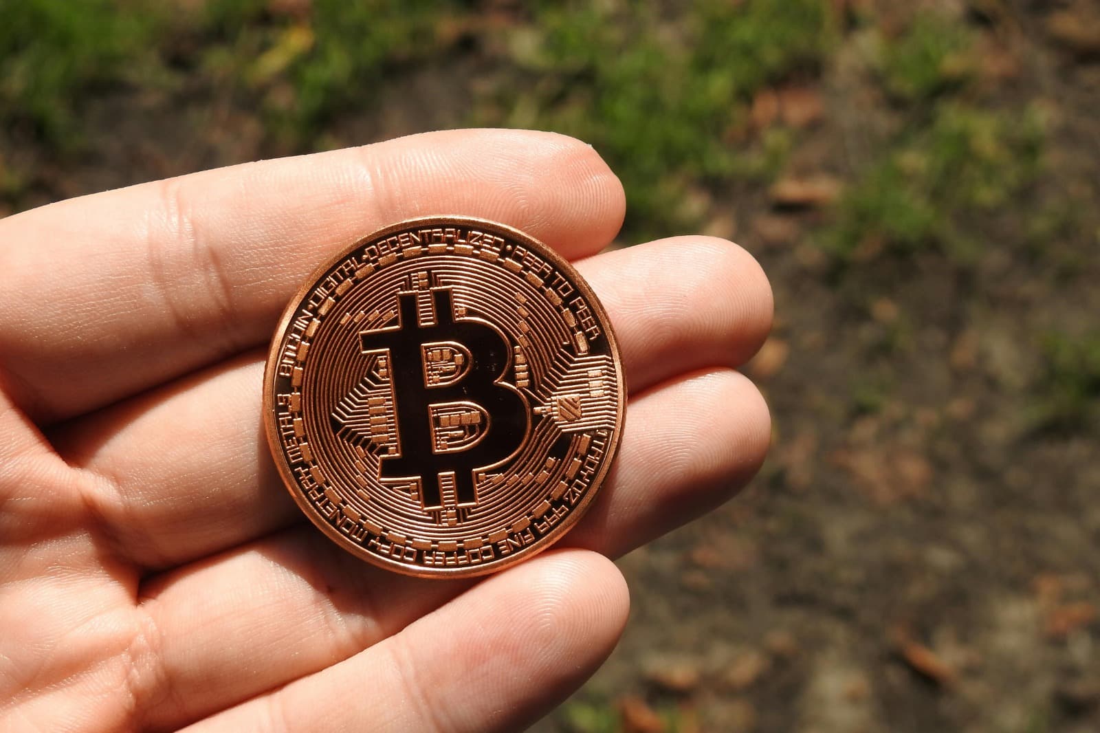 Best Crypto Recovery Companies for Lost Wallets