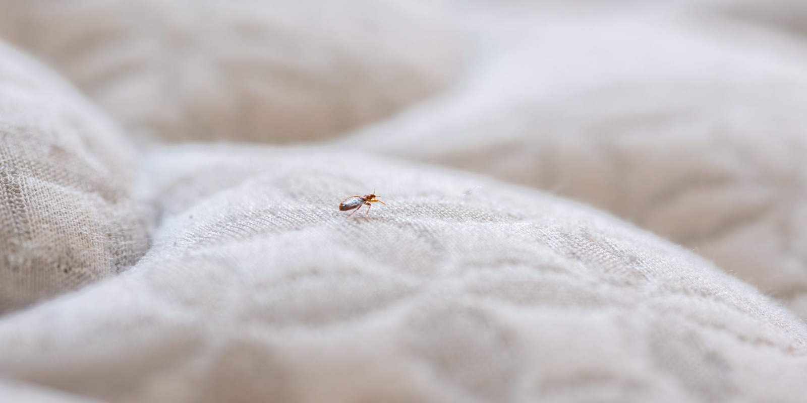 Mattress Cleaning Dubai – Expert Care for a Healthier Sleep