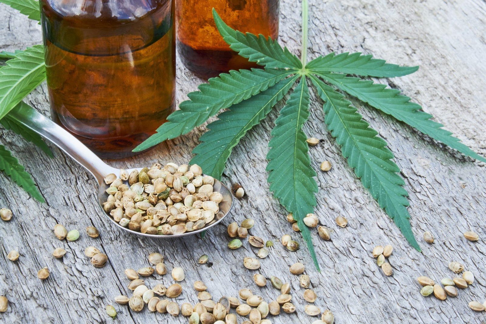 Enjoy Legal Marijuana Madrid Spaces with Clubs Cannabis Madrid