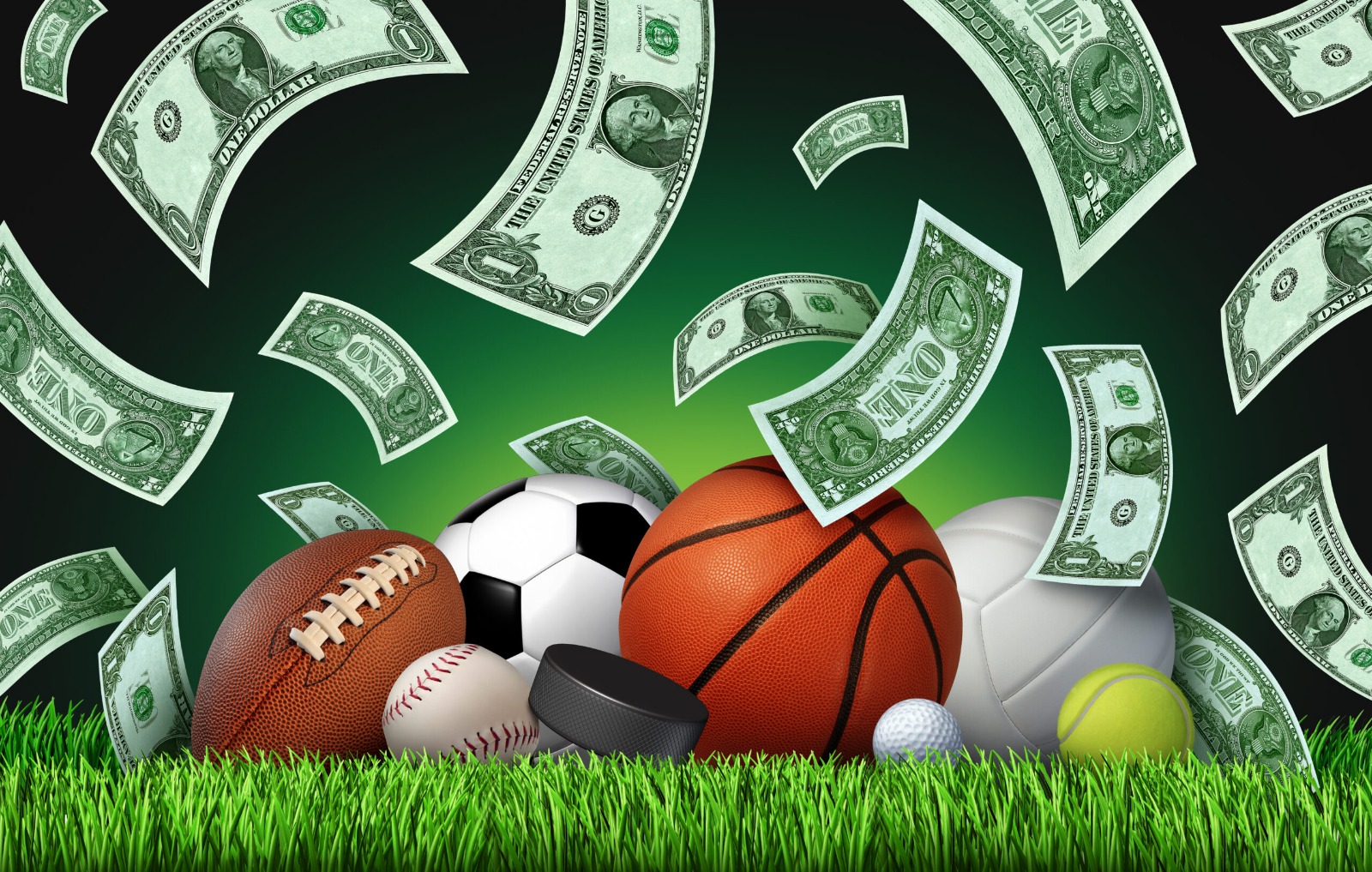 Comprehensive Insights on Sports Betting South Carolina: Legal Status, Trends, and Options