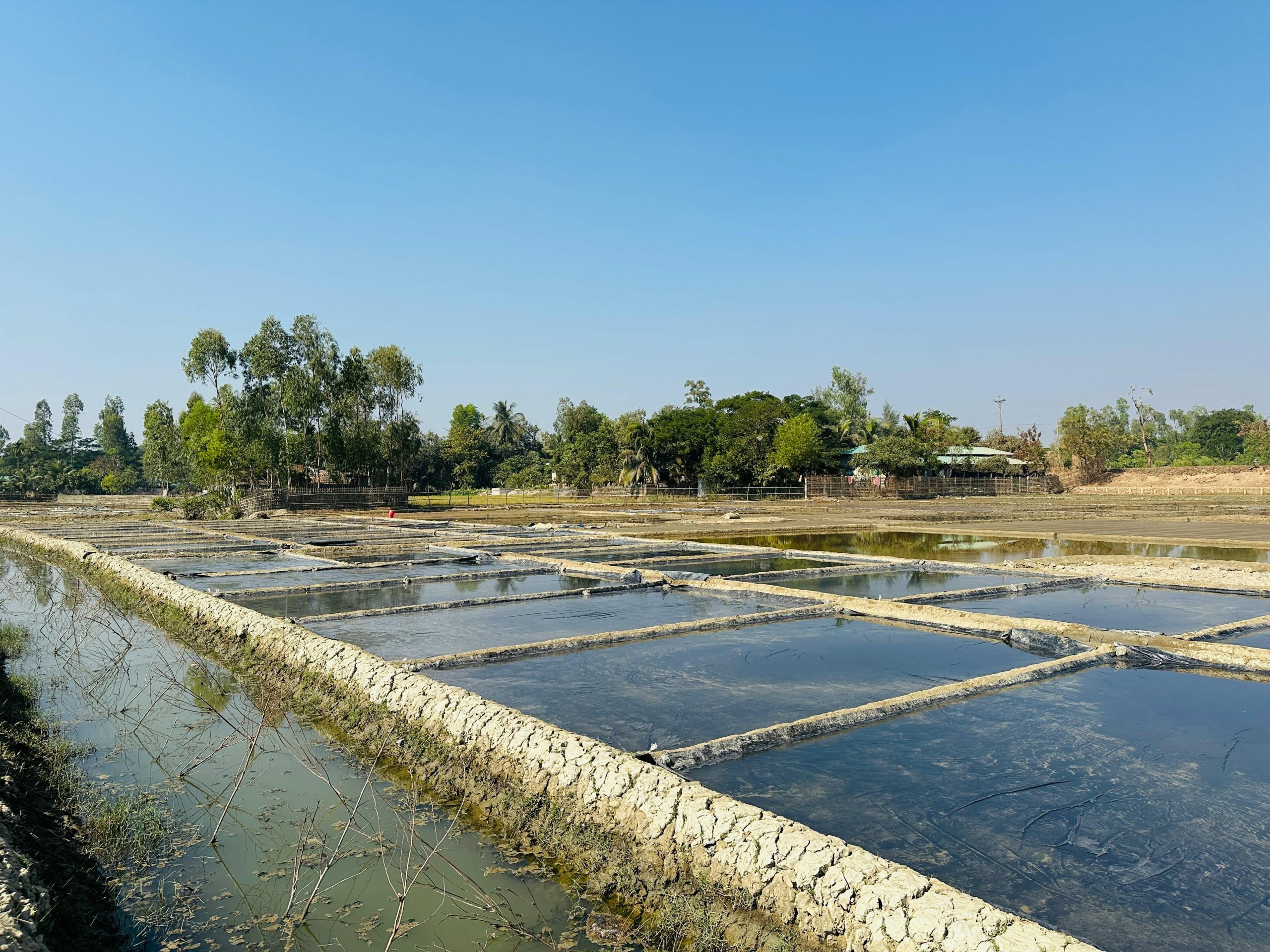 WHY CHOOSE PROFESSIONAL IRRIGATION SERVICES IN ARLINGTON, TX FOR YOUR LAWN