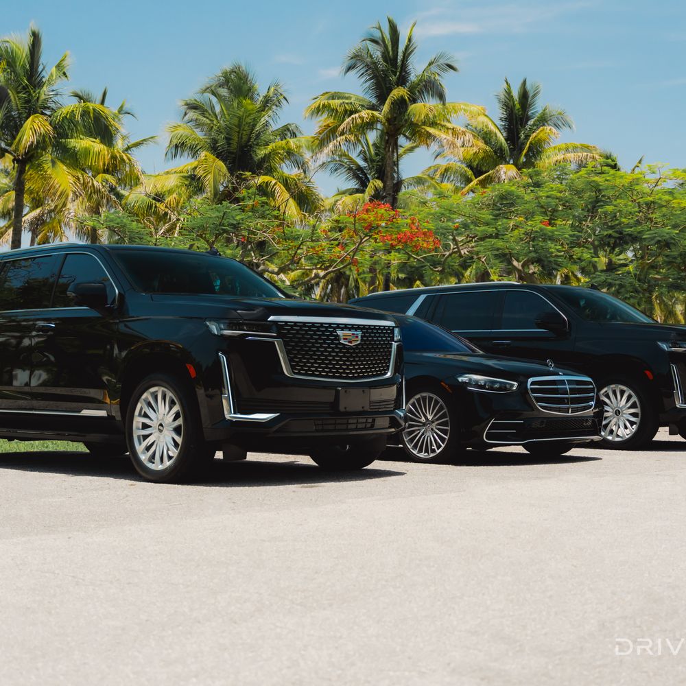 Make Any Event Special with a Top-Rated Miami Limousine